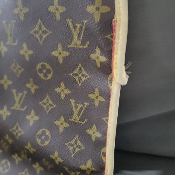 Louis Vuitton  garmet carrier - Picture 8 of 15